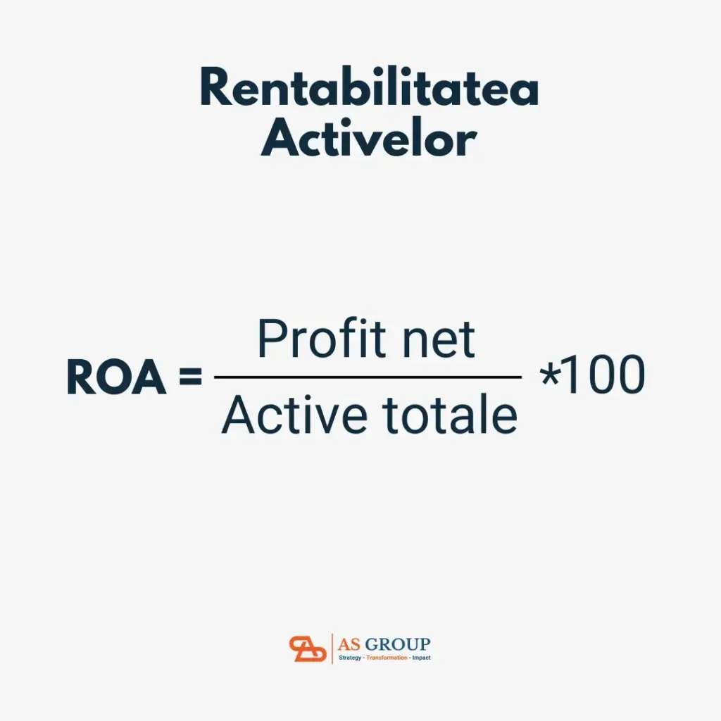 ce este rentabilitatea activelor bilant contabil 1080X1080