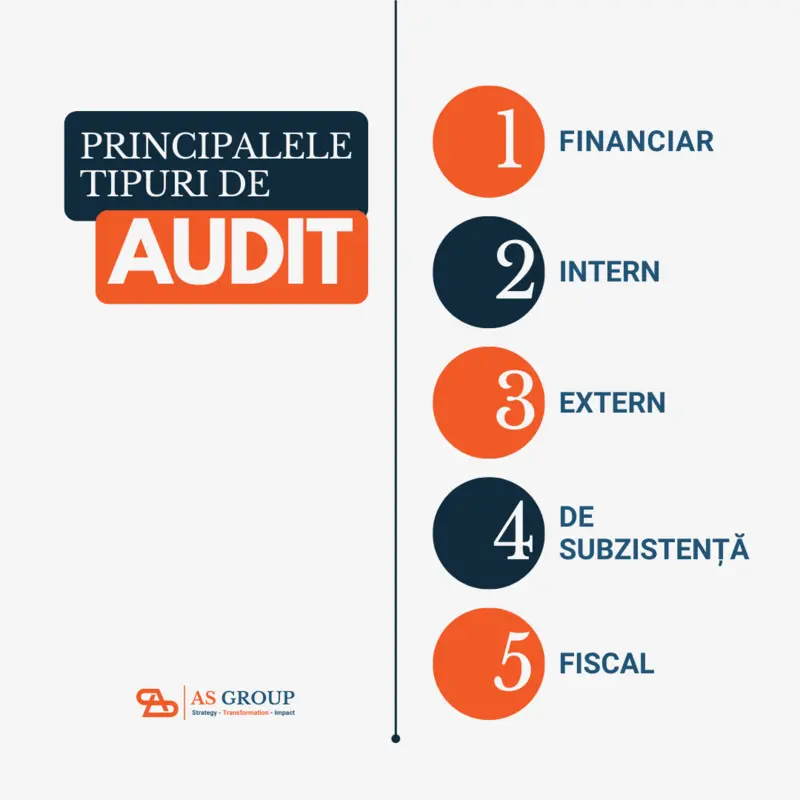 auditul afacerii tipuri de audit
